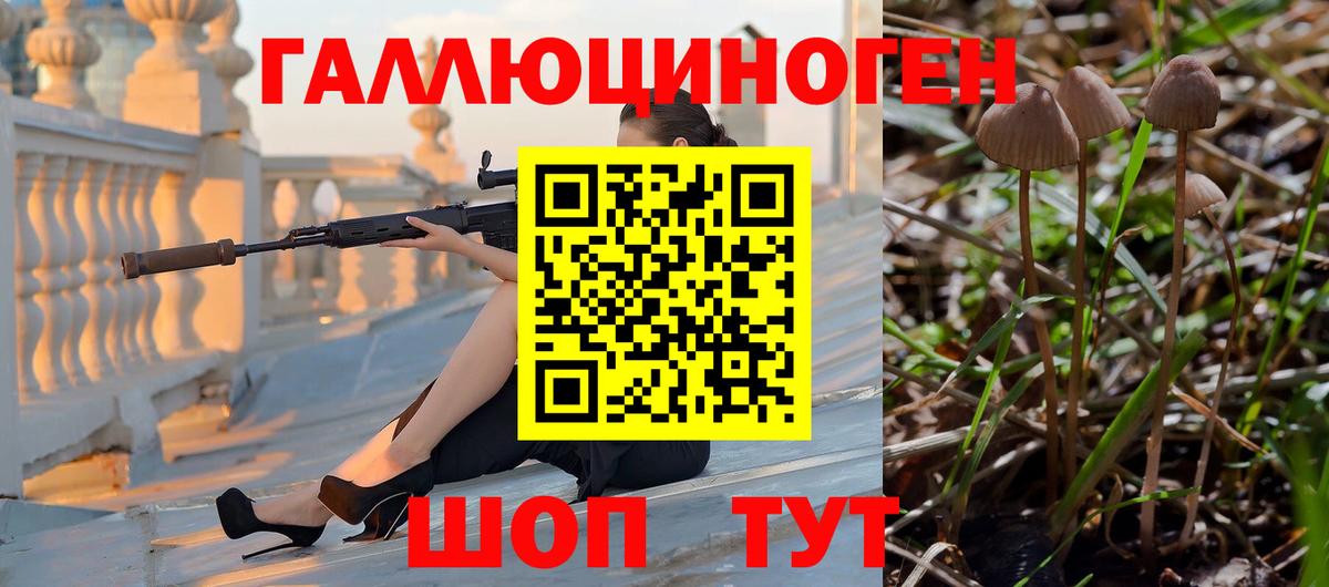 хочу наркоту  Галлюциногенные грибы Psilocybine cubensis  Галлюциногенные грибы ЛСД  Вход с VPN  Вичуга 